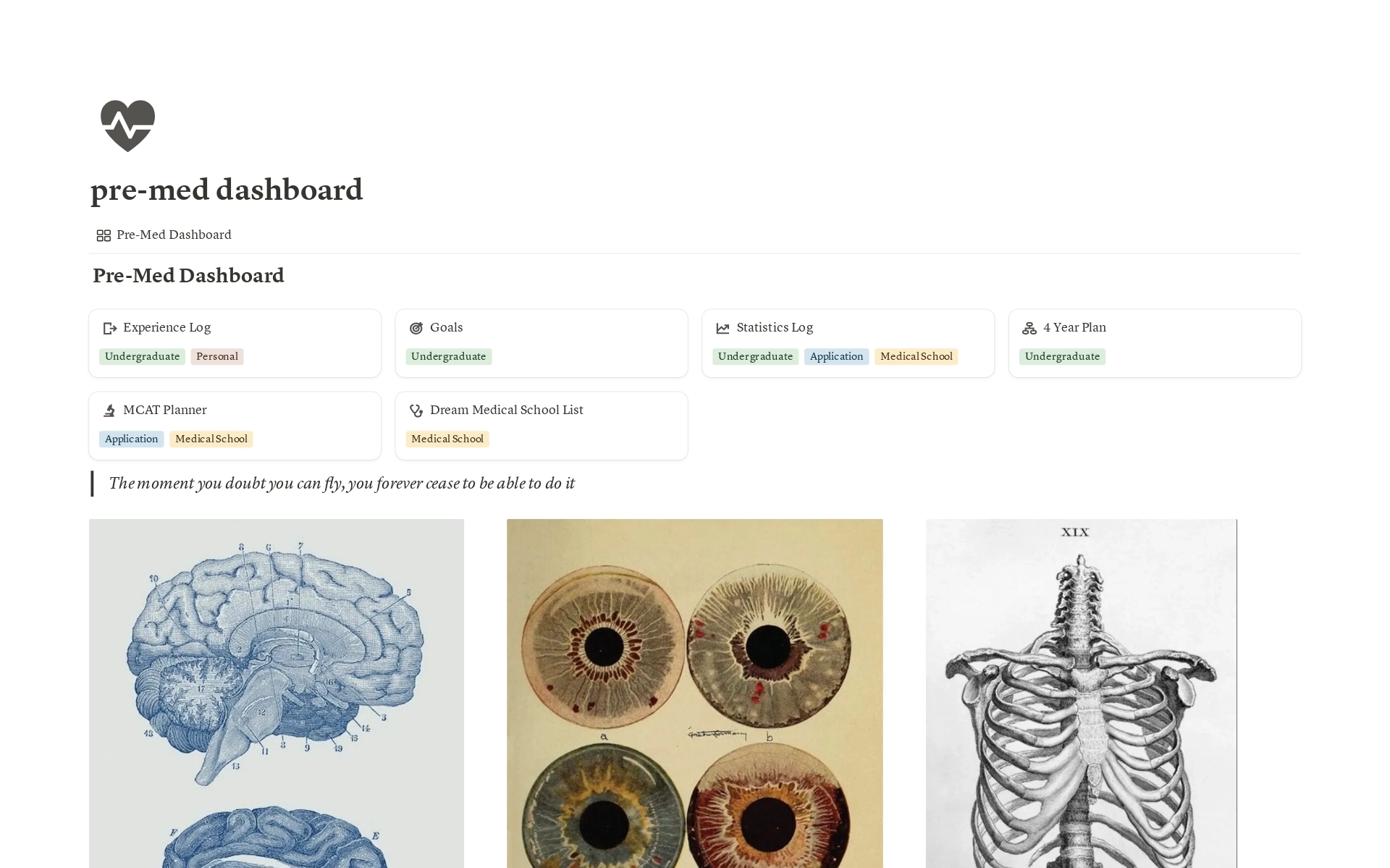 /img/products/complete-pre-medical-personal-workspace/notion-template-complete-pre-medical-personal-workspace-image-3.webp