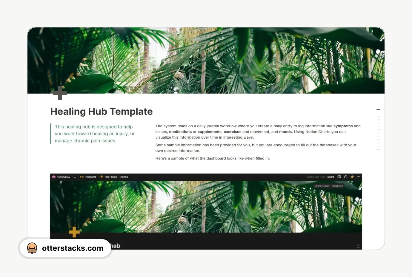 Notion template Healing Hub: A Pain / Physio / Health tracker